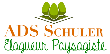 ADS Schuler Elagueur Paysagiste